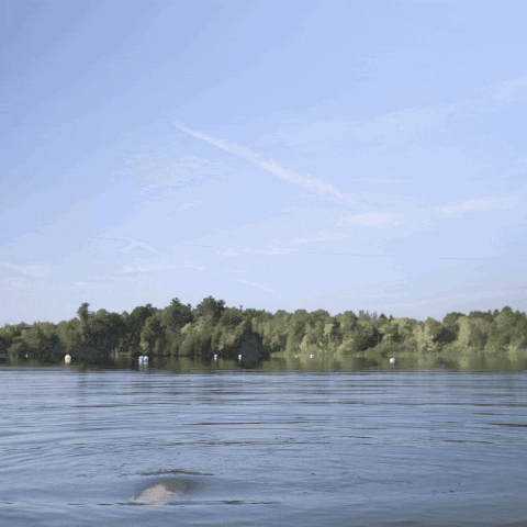 giphy-28